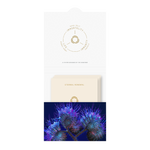 Eternal Renewal Skincare 3ml Sachet Pack