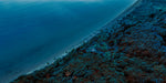 Aerial view of a coastal landscape with a beach and forested area in New Zealand Pohuenui Island. Manuka Health Single Origin. 