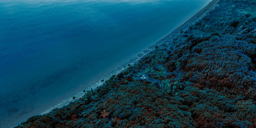 Aerial view of a coastal landscape with a beach and forested area in New Zealand Pohuenui Island. Manuka Health Single Origin. 