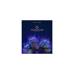Eternal Renewal Skincare 3ml Sachet Pack